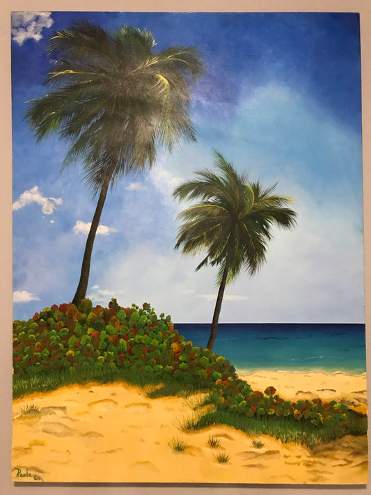 Playa, Puerto Rico/Beach, Puerto Rico