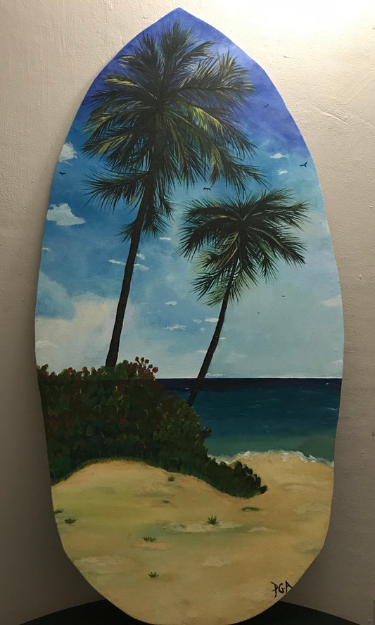 Playa, Puerto Rico/Beach, Puerto Rico